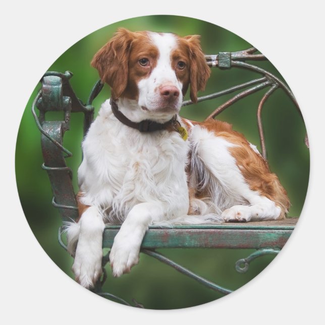 Sticker Rond Bretagne (Devant)