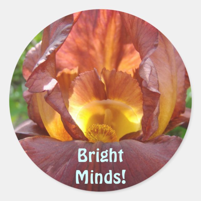 Sticker Rond Bright Minds! aimants Fleur d'Iris Lumineuse Étudi (Devant)