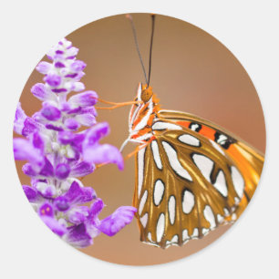 Sticker Rond Bright Orange Gulf Fritillary Butterfly