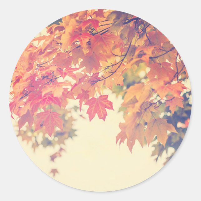 Sticker Rond Brise d'automne (Devant)
