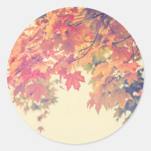 Sticker Rond Brise d'automne