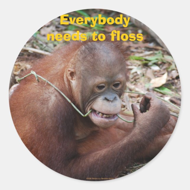 Sticker Rond Brochures de soins dentaires (Devant)