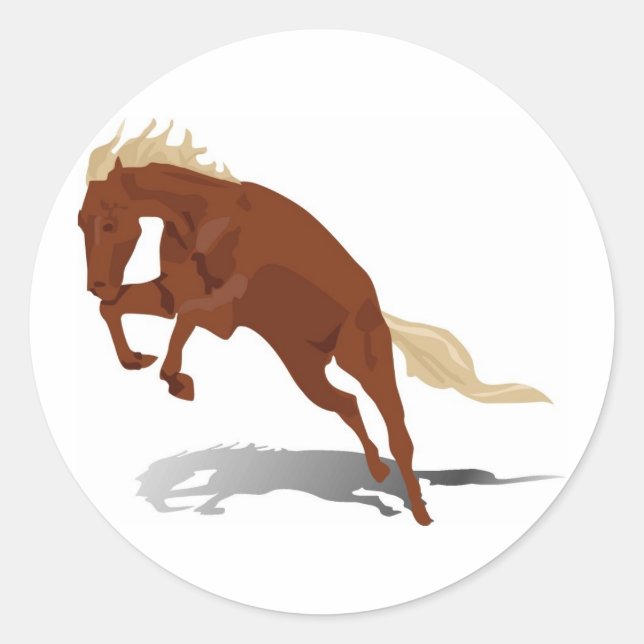 Sticker Rond Bronco (Devant)