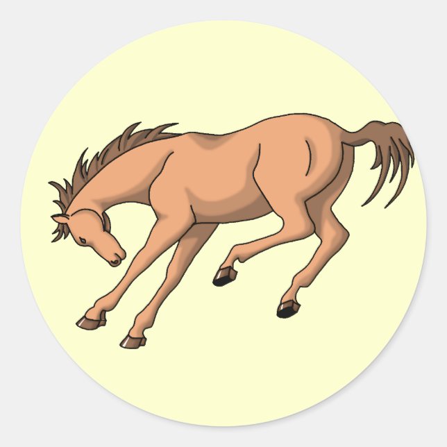 Sticker Rond Bronco (Devant)