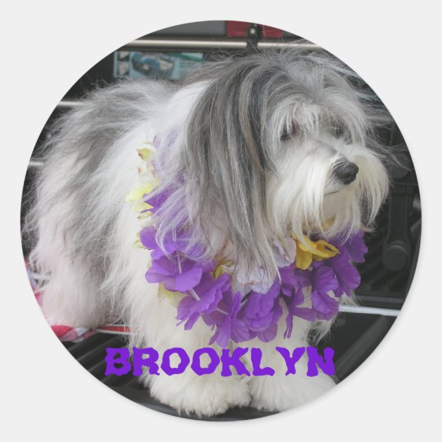 STICKER ROND BROOKLYN PURPLE HAWAII STICKKERS (Devant)