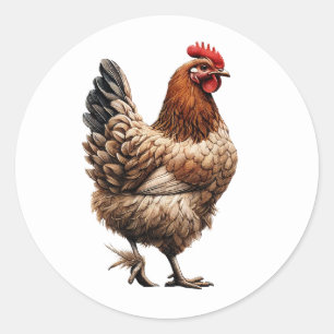 Sticker Rond Brown Country Chicken Farm Barnyard