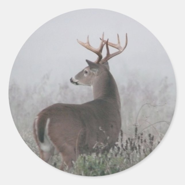 Sticker Rond bruiser (Devant)