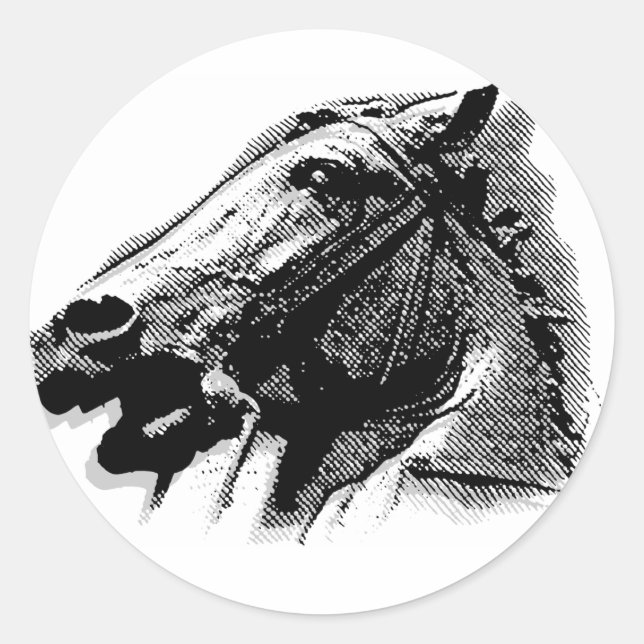 Sticker Rond Bucephalus (Devant)