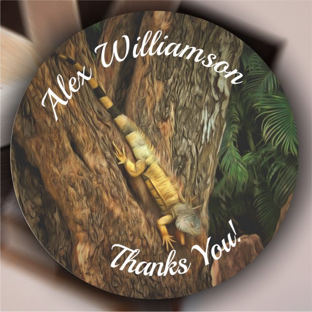 Sticker Rond Bucerias Iguana Merci 1069 (Créateur téléchargé)