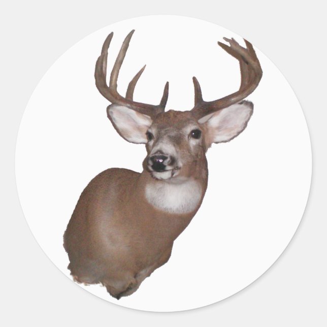 Sticker Rond Buck 10 points (Devant)