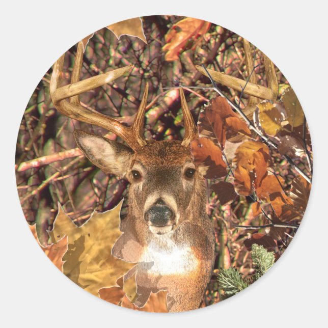 Sticker Rond Buck in Camo White Tail Deer (Devant)