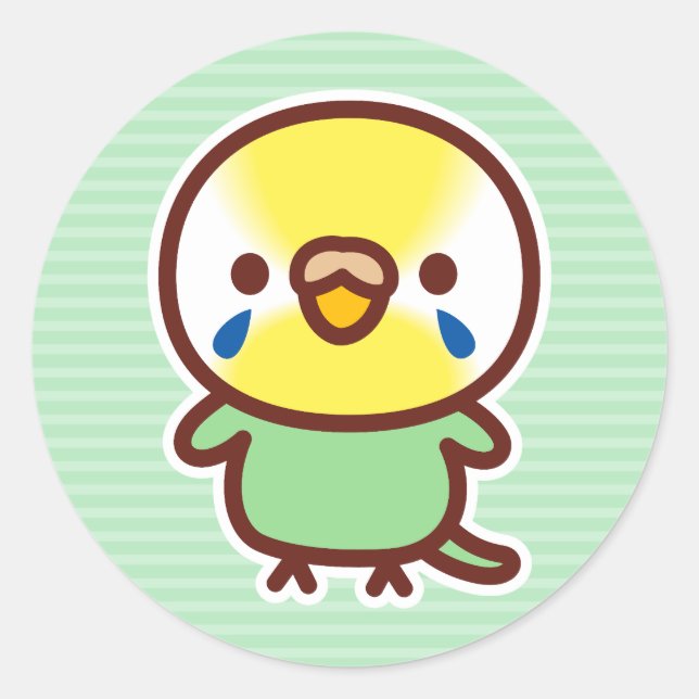 Sticker Rond Budgerigar / Pastel rainbow green female (Devant)