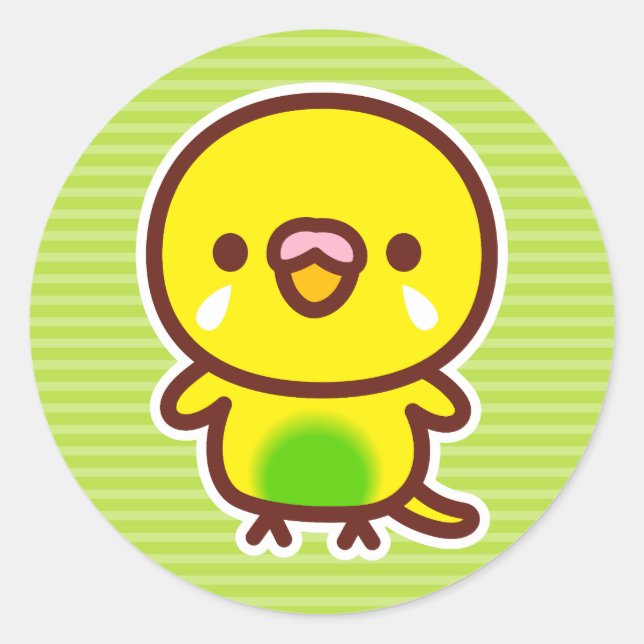 Sticker Rond Budgerigar / Recessive pied budgie (Devant)