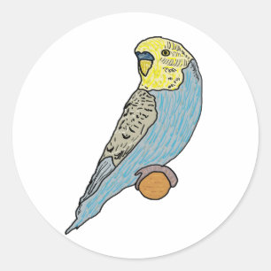 Sticker Rond Budgie