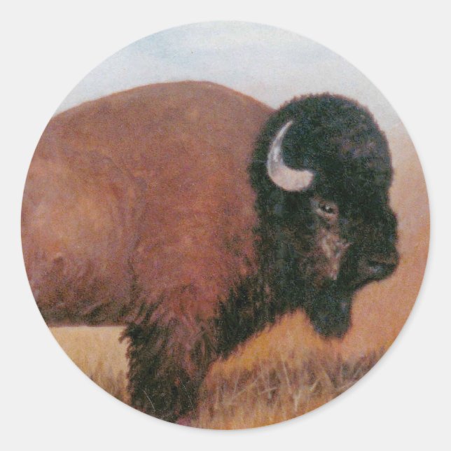 Sticker Rond Buffalo (Devant)