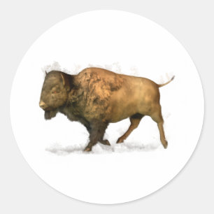 Sticker Rond Buffalo