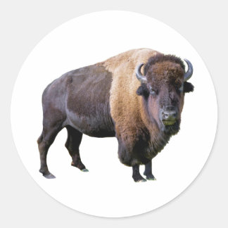 Sticker Rond buffle