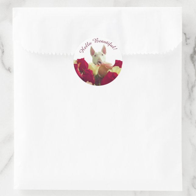 Sticker Rond Bull terrier avec rose - Bonjour belle (Sac)