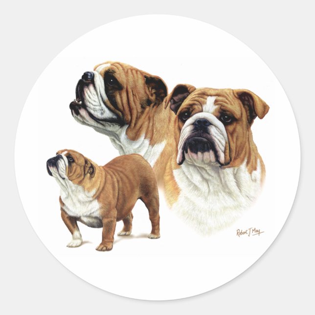 Sticker Rond Bulldog (Devant)