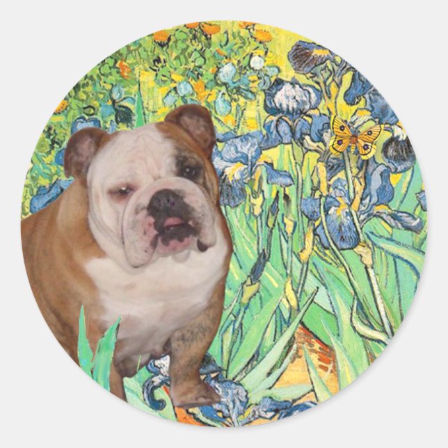 Sticker Rond Bulldog 1 anglais - Irises (Devant)