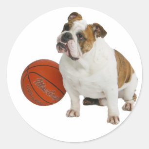 Sticker Rond Bulldog anglais avec basket-ball