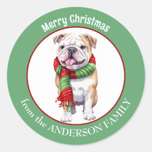 Sticker Rond Bulldog en rouge et vert Écharpe de Noël