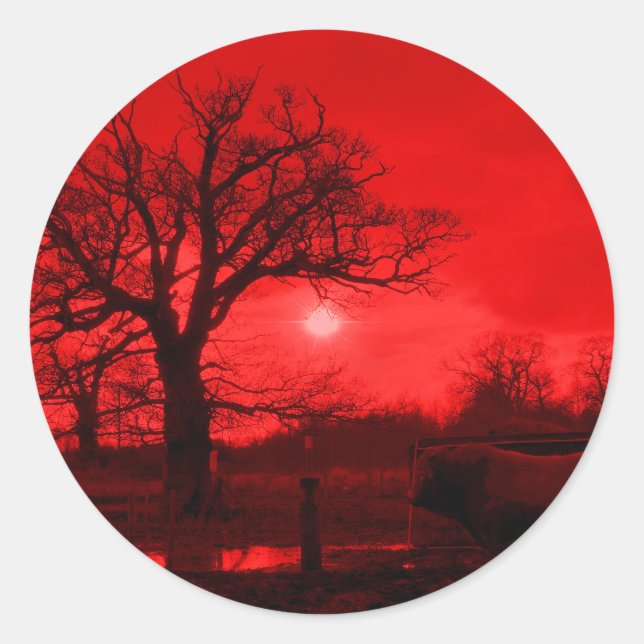 STICKER ROND BULLES (Devant)