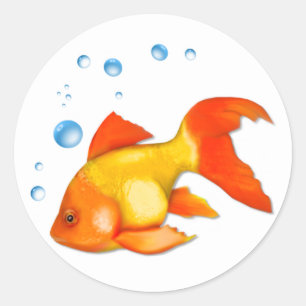 Sticker Rond Bulles du poisson rouge