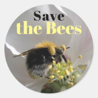 Bumble Bee Sauver les abeilles
