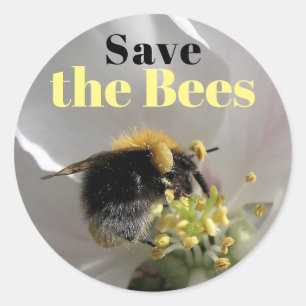 Sticker Rond Bumble Bee Sauver les abeilles