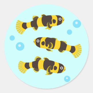 Sticker Rond Bumblebee Goby Fish