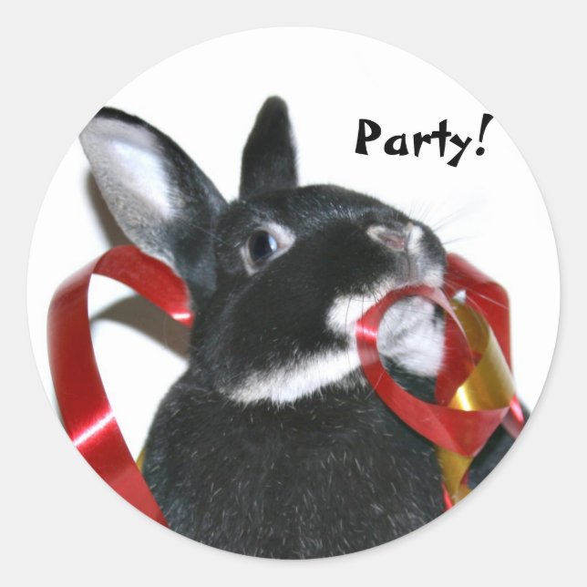 Sticker Rond Bunny (Devant)
