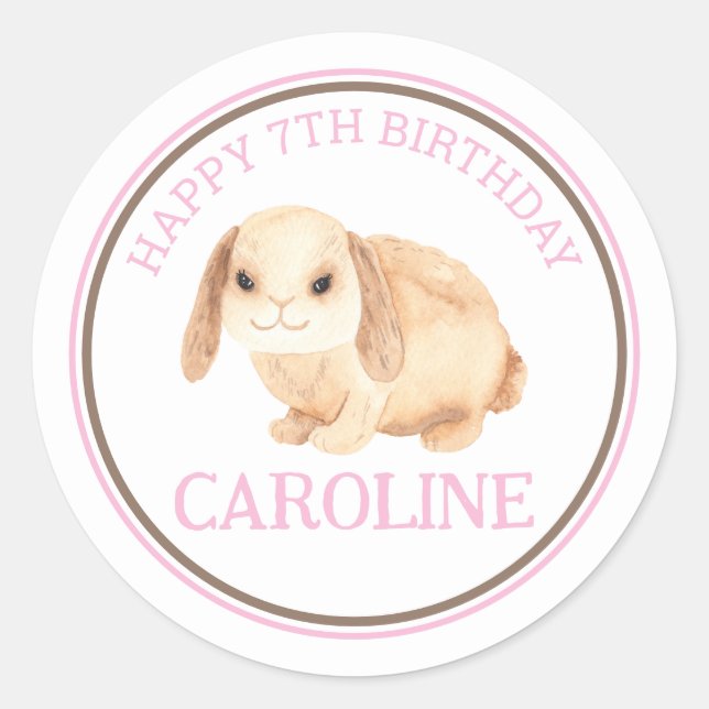Sticker Rond Bunny Rabbit Pet Zoo Stick de fête d'anniversaire (Devant)