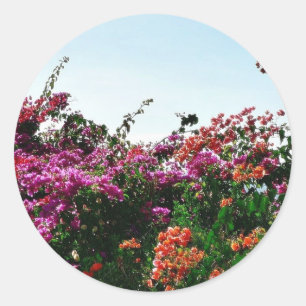 Sticker Rond Bush avec les fleurs rouges et oranges pourpres