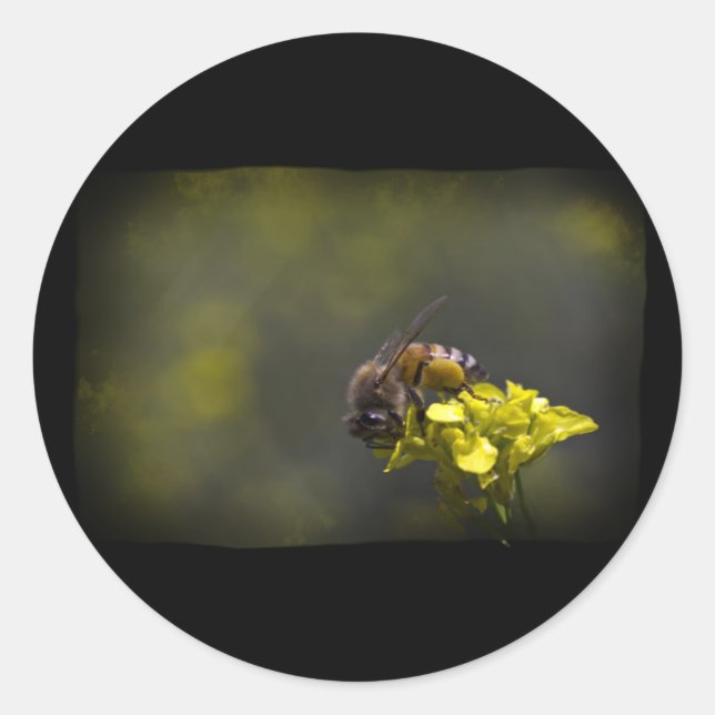 Sticker Rond Busy Bee (Devant)