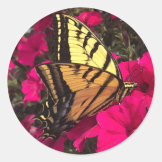 Sticker Rond Butterfly on Pink Petunia Flowers Springtime