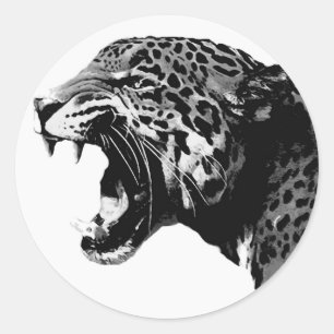 Sticker Rond BW Jaguar