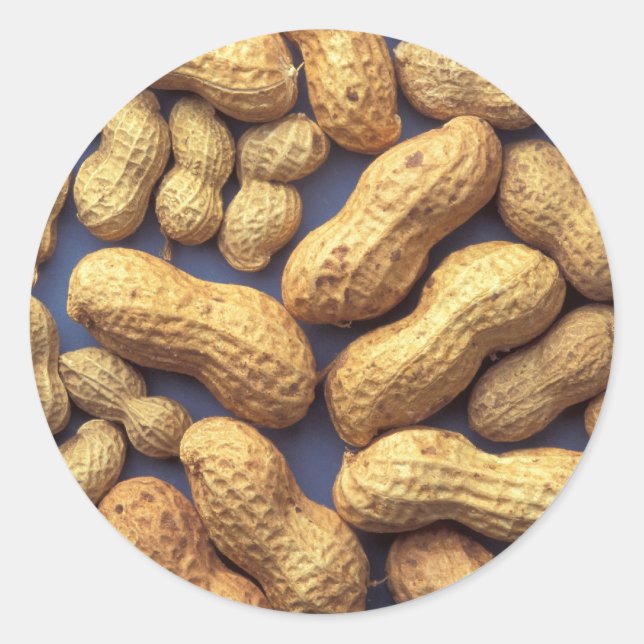 Sticker Rond cacahuètes (Devant)