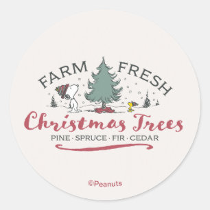 Sticker Rond cacahuètes   Arbres de Noël frais de ferme