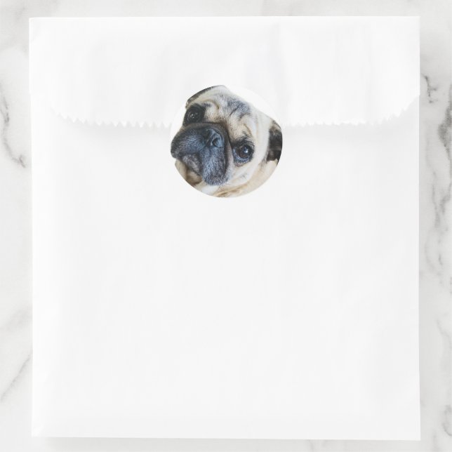 Sticker Rond Cachorro (Sac)