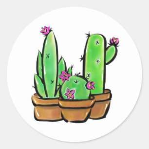 Sticker Rond Cactus cactus cactus succulents