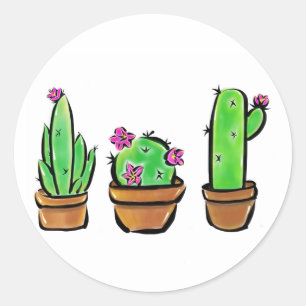 Sticker Rond Cactus cactus cactus succulents
