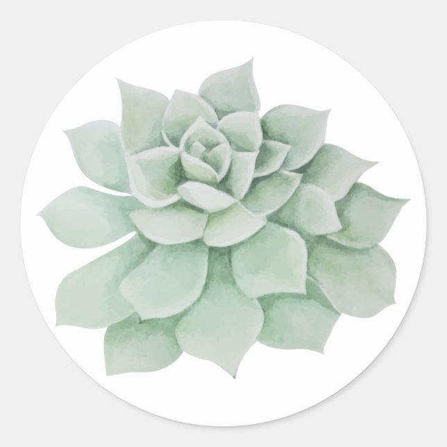 Sticker Rond Cactus Succulent vert de la menthe florale (Devant)