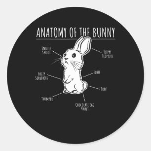 Sticker Rond Cadeau lapin  Anatomie De Lapin Mignonne Rabbit Am