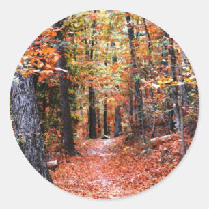 Sticker Rond Cadeaux aquarelle Sentier de la forêt peinte autom