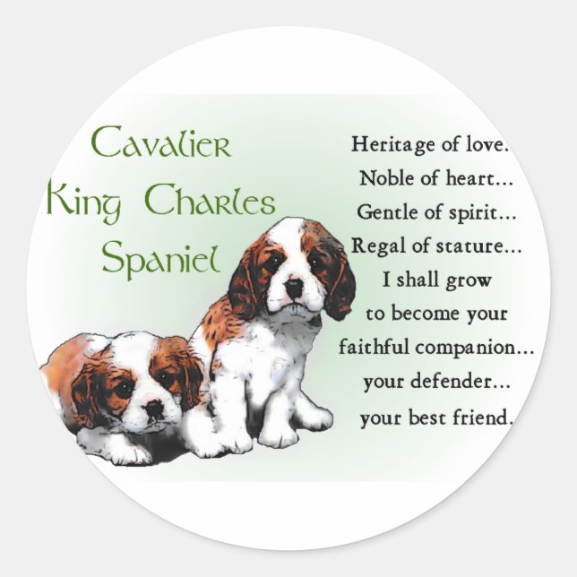 Sticker Rond Cadeaux Cavalier King Charles Spaniel (Devant)