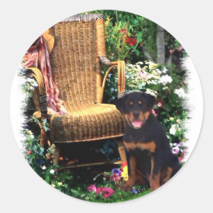 Sticker Rond Cadeaux d'art Rottweiler