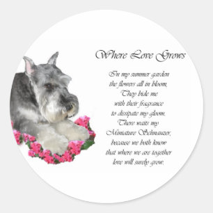 Sticker Rond Cadeaux d'art Schnauzer miniature