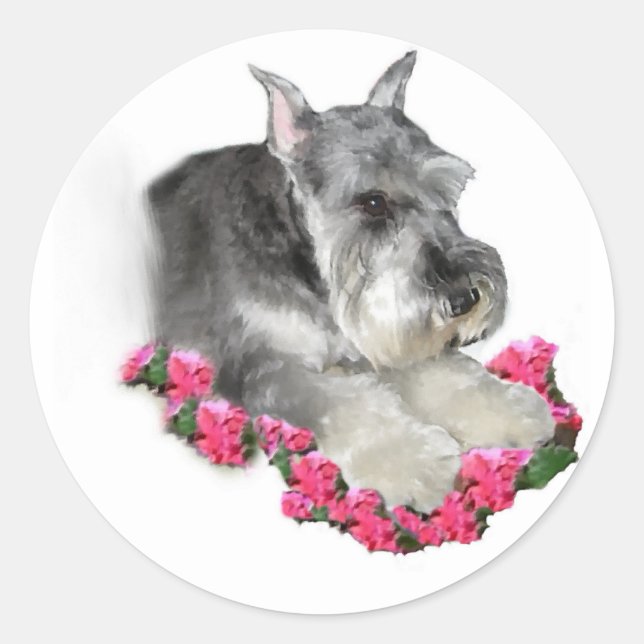 Sticker Rond Cadeaux d'art Schnauzer miniature (Devant)