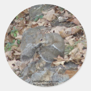 Sticker Rond Cadeaux de camouflage de montagne de Hot Springs,